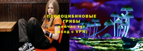 МДМА Алексеевка