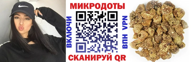 omg ONION  наркошоп  Новомичуринск  Псилоцибиновые грибы MAGIC MUSHROOMS 